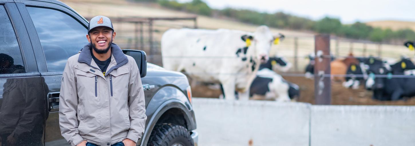 阿维拉多·巴尔加斯站在他的卡车旁，背景是奶牛.